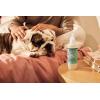imageMRS MEYERS CLEAN DAY 3 in 1 Dog Shampoo White Peach Scent 14ozSweet Chamomile