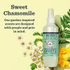imageMRS MEYERS CLEAN DAY 3 in 1 Dog Shampoo White Peach Scent 14ozSweet Chamomile