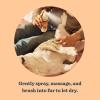 imageMRS MEYERS CLEAN DAY 3 in 1 Dog Shampoo White Peach Scent 14ozWhite Peach