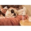 imageMRS MEYERS CLEAN DAY 3 in 1 Dog Shampoo White Peach Scent 14ozWhite Peach