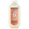 imageMRS MEYERS CLEAN DAY 3 in 1 Dog Shampoo White Peach Scent 14ozWhite Peach