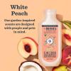 imageMRS MEYERS CLEAN DAY 3 in 1 Dog Shampoo White Peach Scent 14ozWhite Peach