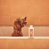 imageMRS MEYERS CLEAN DAY 3 in 1 Dog Shampoo White Peach Scent 14ozWhite Peach