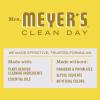 imageMRS MEYERS CLEAN DAY AllPurpose Cleaner Spray Geranium 16 fl ozDaisy