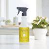 imageMRS MEYERS CLEAN DAY AllPurpose Cleaner Spray Geranium 16 fl ozDaisy
