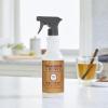 imageMRS MEYERS CLEAN DAY AllPurpose Cleaner Spray Honeysuckle 16 Fl Oz Pack of 3Apple Cider