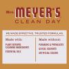 imageMRS MEYERS CLEAN DAY AllPurpose Cleaner Spray Limited Edition Apple Cider 16 fl oz  Pack of 3Apple Cider
