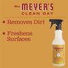 imageMRS MEYERS CLEAN DAY AllPurpose Cleaner Spray Limited Edition Apple Cider 16 fl oz  Pack of 3Apple Cider