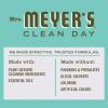 imageMRS MEYERS CLEAN DAY AllPurpose Cleaner Spray Limited Edition Apple Cider 16 fl oz  Pack of 3Basil