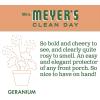 imageMRS MEYERS CLEAN DAY AllPurpose Cleaner Spray Limited Edition Apple Cider 16 fl oz  Pack of 3Geranium