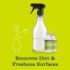 imageMRS MEYERS CLEAN DAY AllPurpose Cleaner Spray Limited Edition Apple Cider 16 fl oz  Pack of 3Lemon Verbena