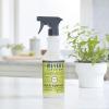 imageMRS MEYERS CLEAN DAY AllPurpose Cleaner Spray Limited Edition Apple Cider 16 fl oz  Pack of 3Lemon Verbena