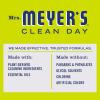 imageMRS MEYERS CLEAN DAY AllPurpose Cleaner Spray Limited Edition Apple Cider 16 fl oz  Pack of 3Lemon Verbena