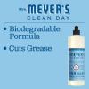 imageMRS MEYERS CLEAN DAY AllPurpose Cleaner Spray Limited Edition Apple Cider 16 fl oz  Pack of 3Rain Water