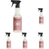 imageMRS MEYERS CLEAN DAY AllPurpose Cleaner Spray Limited Edition Apple Cider 16 fl oz  Pack of 3Rose