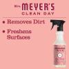 imageMRS MEYERS CLEAN DAY AllPurpose Cleaner Spray Limited Edition Apple Cider 16 fl oz  Pack of 3Rose