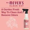 imageMRS MEYERS CLEAN DAY AllPurpose Cleaner Spray Limited Edition Apple Cider 16 fl oz  Pack of 3Rose