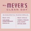imageMRS MEYERS CLEAN DAY AllPurpose Cleaner Spray Limited Edition Apple Cider 16 fl oz  Pack of 3Rose