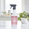 imageMRS MEYERS CLEAN DAY AllPurpose Cleaner Spray Limited Edition Peppermint 16 fl ozPeppermint