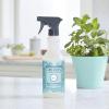 imageMRS MEYERS CLEAN DAY AllPurpose Cleaner Spray Limited Edition Rose 16 fl oz  Pack of 3Mint