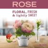 imageMRS MEYERS CLEAN DAY AllPurpose Cleaner Spray Limited Edition Rose 16 fl oz  Pack of 3Rose