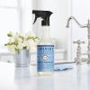 imageMRS MEYERS CLEAN DAY AllPurpose Cleaner Spray Rain Water 16 fl oz  Pack of 3
