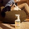 imageMRS MEYERS CLEAN DAY Cat Care Kit includes Cat Deodorizing Spritz  White Peach and Pet Stain ampamp Odor Fighter  Coconut Leaf