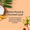 imageMRS MEYERS CLEAN DAY Cat Care Kit includes Cat Deodorizing Spritz  White Peach and Pet Stain ampamp Odor Fighter  Coconut Leaf
