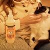 imageMRS MEYERS CLEAN DAY Cat Care Kit includes Cat Deodorizing Spritz  White Peach and Pet Stain ampamp Odor Fighter  Coconut Leaf