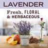 imageMRS MEYERS CLEAN DAY Hand Soap Refill Made with Essential Oils Biodegradable Formula Geranium 33 fl oz33 Fl Oz Pack of 1