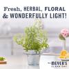 imageMRS MEYERS CLEAN DAY Hand Soap Refill Made with Essential Oils Biodegradable Formula Geranium 33 fl oz33 Fl Oz Pack of 6
