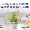 imageMRS MEYERS CLEAN DAY Hand Soap Refill Made with Essential Oils Biodegradable Formula Geranium 33 fl oz33 Fl Oz Pack of 6