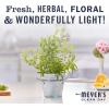 imageMRS MEYERS CLEAN DAY Hand Soap Refill Made with Essential Oils Biodegradable Formula Geranium 33 fl oz66 Fl Oz Pack of 1