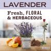 imageMRS MEYERS CLEAN DAY Hand Soap Refill Made with Essential Oils Biodegradable Formula Geranium 33 fl oz66 Fl Oz Pack of 1