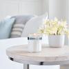 imageMRS MEYERS CLEAN DAY Lavender Soy Candle GardenInspired Aromatherapy Homekeeping 35 Hour Burn Time Made with Essential Oils 72 oz Large Glass Jar Candles Pack of 2Snowdrop