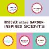 imageMRS MEYERS CLEAN DAY Lavender Soy Candle GardenInspired Aromatherapy Homekeeping 35 Hour Burn Time Made with Essential Oils 72 oz Large Glass Jar Candles Pack of 2Rain Water