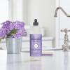 imageMRS MEYERS CLEAN DAY Liquid Dish Soap Biodegradable Formula Compassion Flower 16 fl oz  Pack of 316 Fl Oz Pack of 1