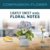 imageMRS MEYERS CLEAN DAY Liquid Dish Soap Biodegradable Formula Compassion Flower 16 fl oz  Pack of 316 Fl Oz Pack of 2