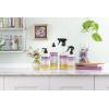imageMRS MEYERS CLEAN DAY Liquid Dish Soap Biodegradable Formula Compassion Flower 16 fl oz  Pack of 316 Fl Oz Pack of 2