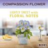 imageMRS MEYERS CLEAN DAY Liquid Dish Soap Biodegradable Formula Compassion Flower 16 fl oz  Pack of 316 Fl Oz Pack of 3