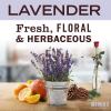 imageMRS MEYERS CLEAN DAY Liquid Dish Soap Biodegradable Formula Compassion Flower 16 fl oz  Pack of 348 Fl Oz Pack of 1