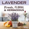 imageMRS MEYERS CLEAN DAY Liquid Fabric Softener Infused with Essential Oils Paraben Free Compassion Flower 32 oz 32 Loads33 Fl Oz Pack of 2
