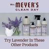 imageMRS MEYERS CLEAN DAY Liquid Fabric Softener Infused with Essential Oils Paraben Free Compassion Flower 32 oz 32 Loads33 Fl Oz Pack of 2