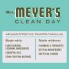 imageMRS MEYERS CLEAN DAY Liquid Laundry Detergent Biodegradable Formula Infused with Essential Oils Compassion Flower 64 oz  Pack of 2 128 LoadsBasil