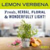 imageMRS MEYERS CLEAN DAY Liquid Laundry Detergent Biodegradable Formula Infused with Essential Oils Lemon Verbena 64 oz  Pack of 2 128 Loads