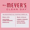 imageMRS MEYERS CLEAN DAY MRS MEYERS CLEAN DAY AllPurpose Cleaner Spray Limited Edition Acorn Spice 16 fl oz  Pack of 3 381 pounds16 Fl Oz Pack of 12
