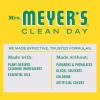 imageMRS MEYERS CLEAN DAY MRS MEYERS CLEAN DAY AllPurpose Cleaner Spray Limited Edition Acorn Spice 16 fl oz  Pack of 3 381 pounds16 Fl Oz Pack of 2