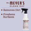 imageMRS MEYERS CLEAN DAY MRS MEYERS CLEAN DAY AllPurpose Cleaner Spray Limited Edition Acorn Spice 16 fl oz  Pack of 3 381 pounds16 Fl Oz Pack of 3
