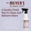 imageMRS MEYERS CLEAN DAY MRS MEYERS CLEAN DAY AllPurpose Cleaner Spray Limited Edition Acorn Spice 16 fl oz  Pack of 3 381 pounds16 Fl Oz Pack of 3