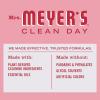 imageMRS MEYERS CLEAN DAY MRS MEYERS CLEAN DAY AllPurpose Cleaner Spray Limited Edition Acorn Spice 16 fl oz  Pack of 3 381 pounds16 Fl Oz Pack of 4